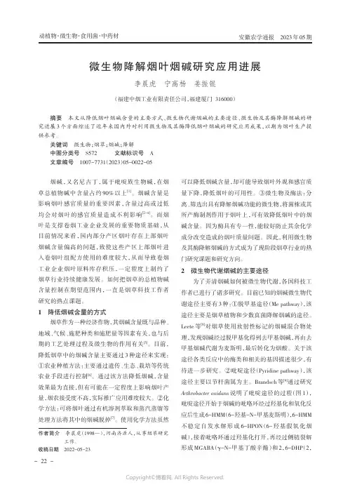 微生物降解烟叶烟碱研究应用进展