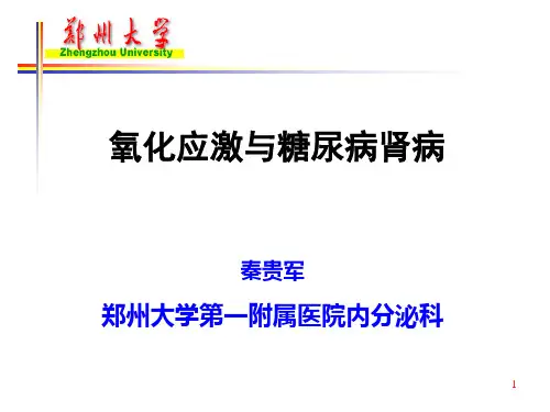 氧化应激(秦教授)