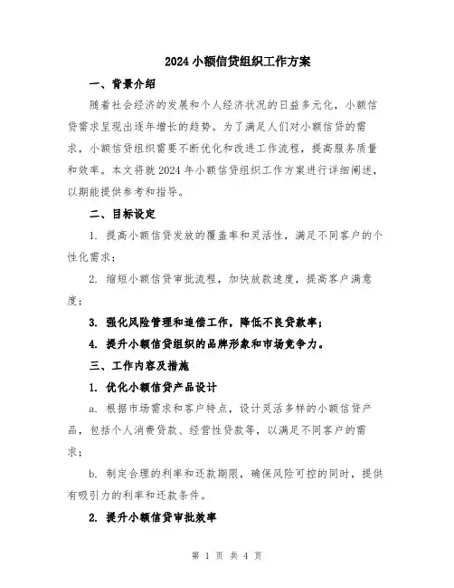 2024小额信贷组织工作方案