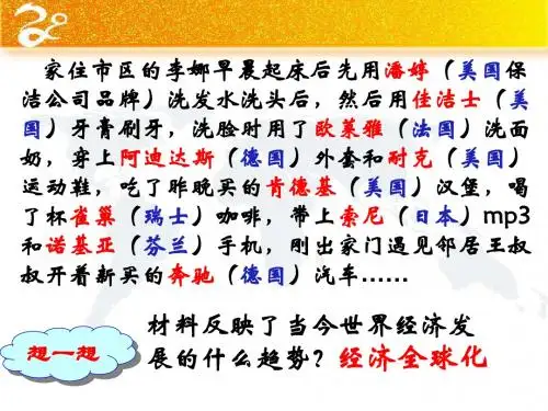 8.3经济全球化的世界详解