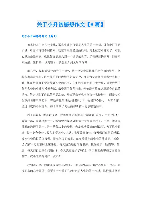 关于小升初感想作文【6篇】