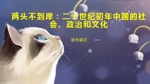 两头不到岸：二十世纪初年中国的社会、政治和文化
