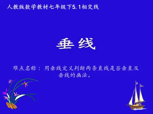 人教版七年级数学下册 课件 5.1.2垂线