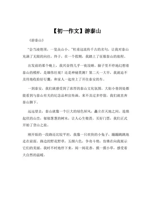 【初一作文】游泰山