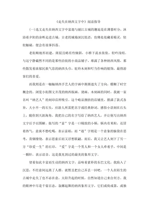 《走失在纳西文字中》阅读指导