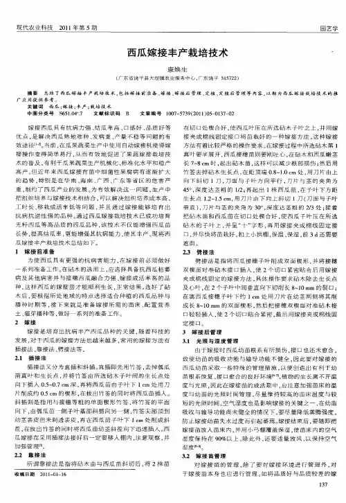 西瓜嫁接丰产栽培技术