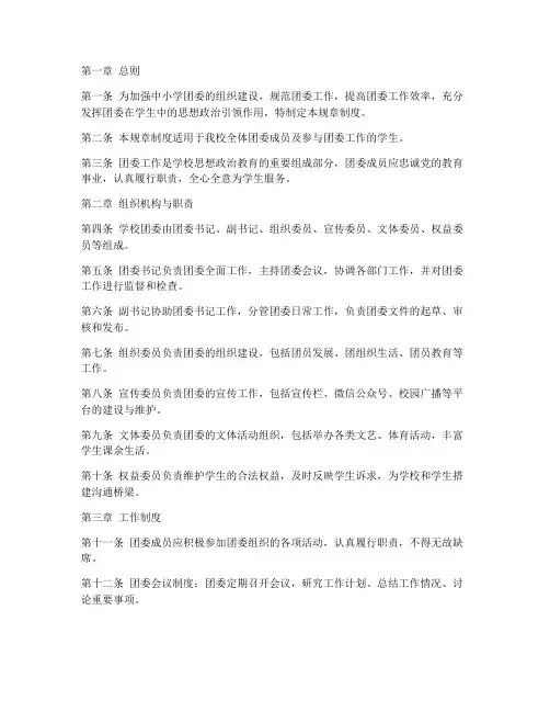 中小学学校团委规章制度