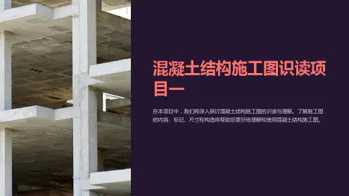 混凝土结构施工图识读项目一