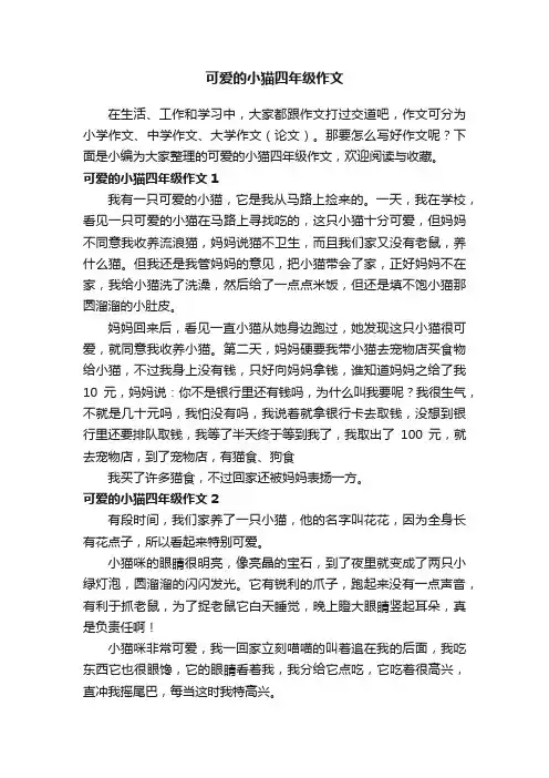可爱的小猫四年级作文15篇