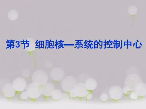 高中生物必修一第三章—第三节 细胞核-系统的控制中心