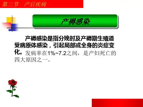 产褥感染