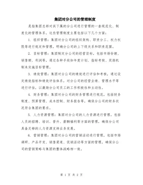 集团对分公司的管理制度