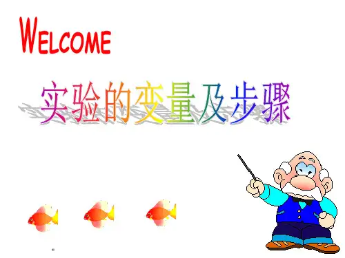 实验变量与步骤(最新3)