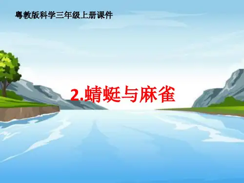 蜻蜓与麻雀课件