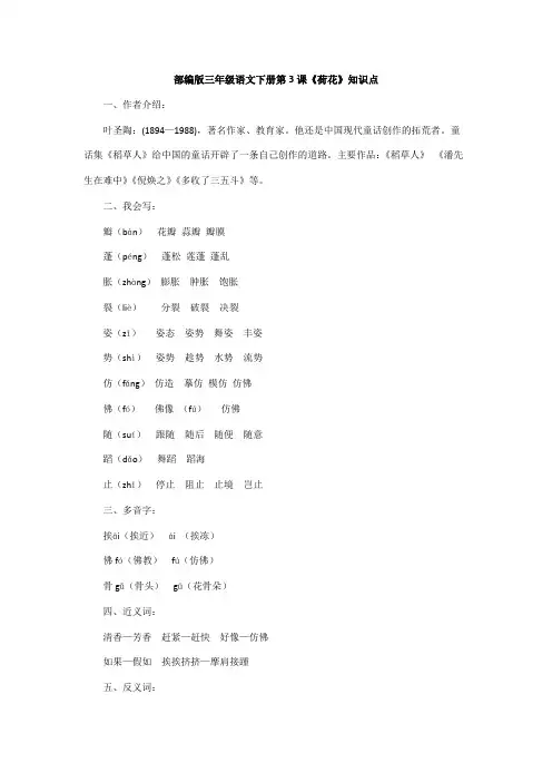 部编版三年级语文下册第3课《荷花》知识点
