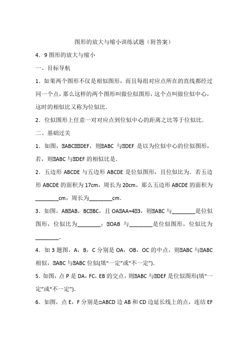 图形的放大与缩小训练试题(附答案)