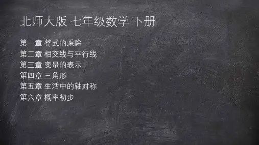 北师大版七年级下册 1.1.1 同底数幂的乘法 课件(共19张PPT)