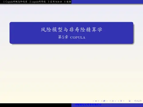 风险模型与非寿险精算学 (38)