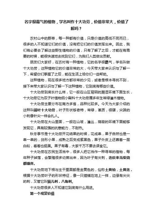 名字很霸气的植物，学名叫作十大功劳，价值非常大，价值了解吗？