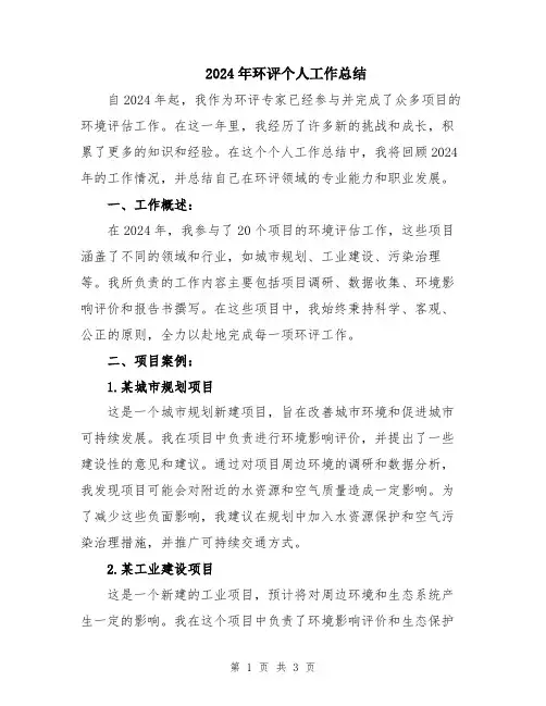 2024年环评个人工作总结