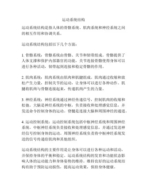 运动系统结构