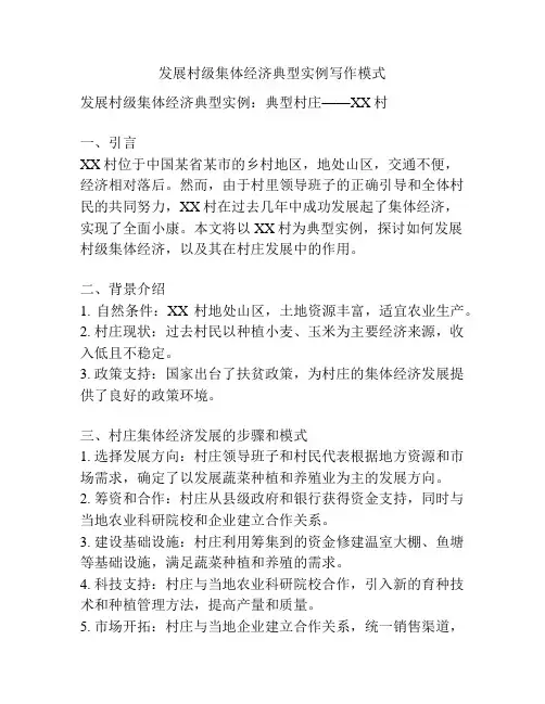 发展村级集体经济典型实例写作模式