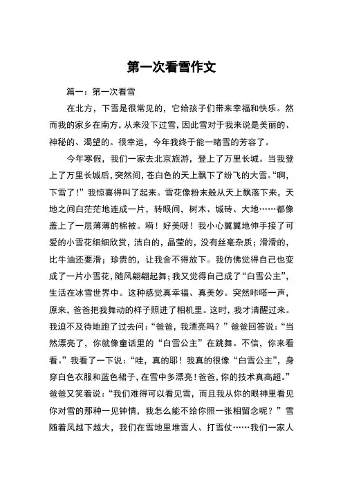 第一次看雪作文