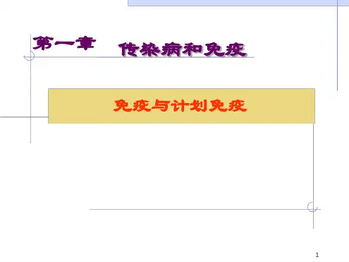 免疫与计划免疫ppt课件