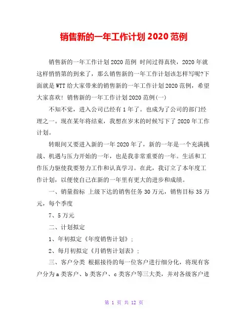 销售新的一年工作计划2020范例