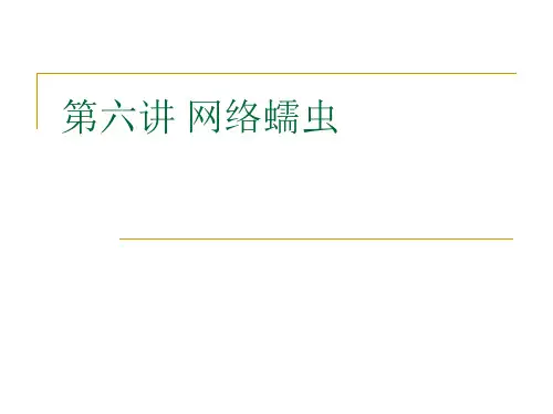 网络蠕虫