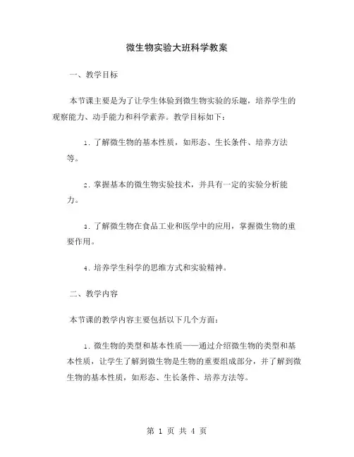 微生物实验大班科学教案