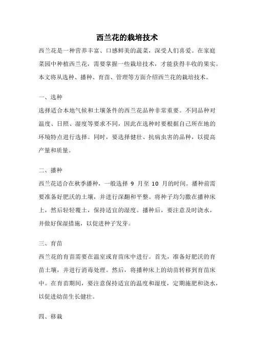西兰花的栽培技术