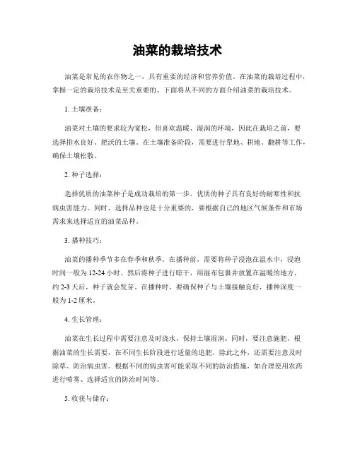 油菜的栽培技术