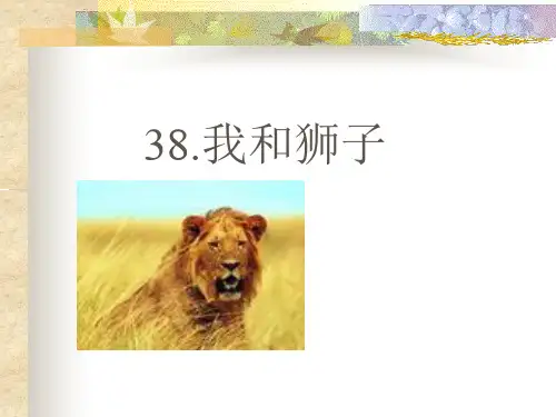 我和狮子