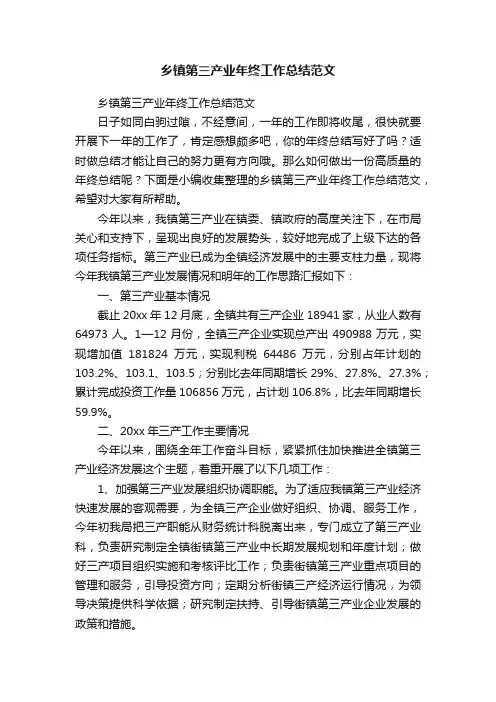 乡镇第三产业年终工作总结范文
