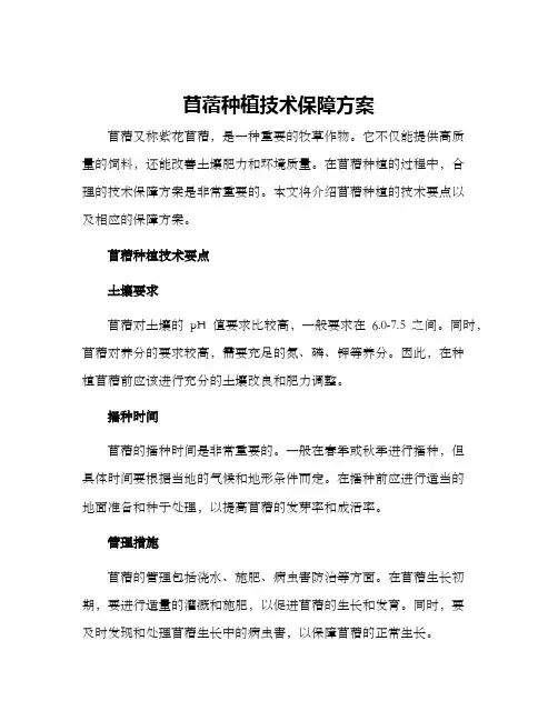 苜蓿种植技术保障方案