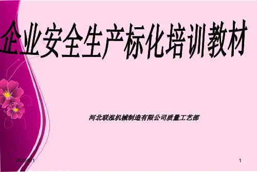 企业安全标准化培训教材.