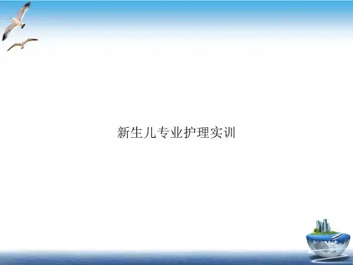 生儿专业护理实训PPT培训课件