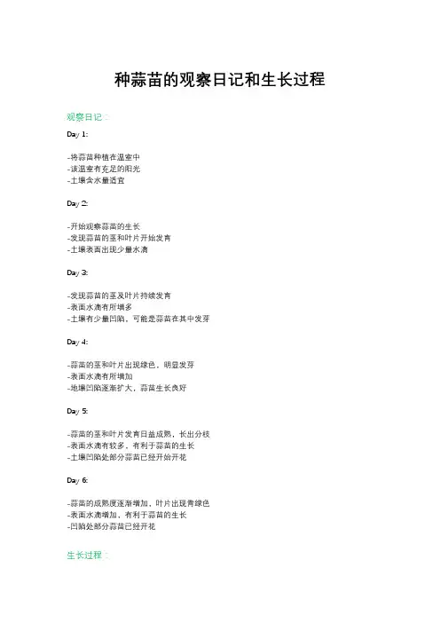 种蒜苗的观察日记和生长过程