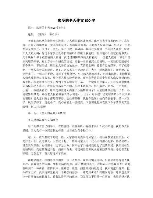 家乡的冬天作文600字