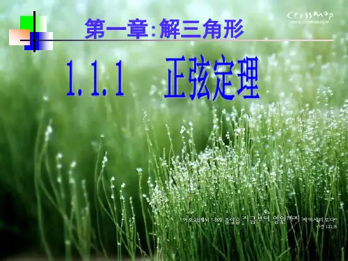 正弦定理优秀课件