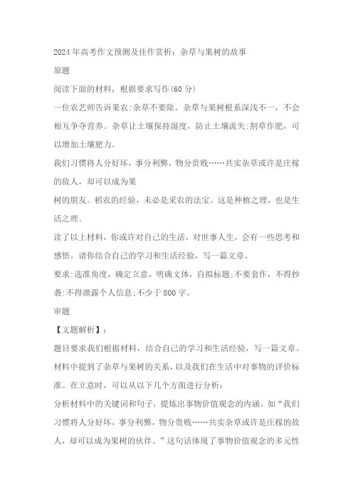 2024届高考作文预测及佳作赏析：杂草与果树的故事