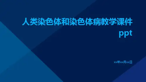 人类染色体和染色体病教学课件ppt