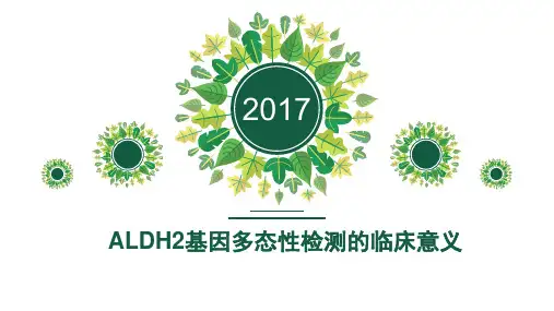 ALDH2基因多态性