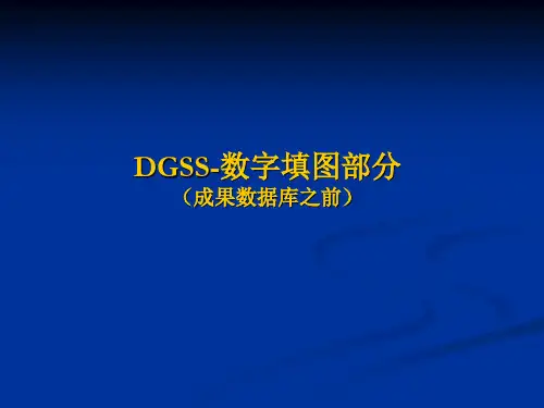 数字填图DGSS数字填图地质调查平台操作 ppt课件