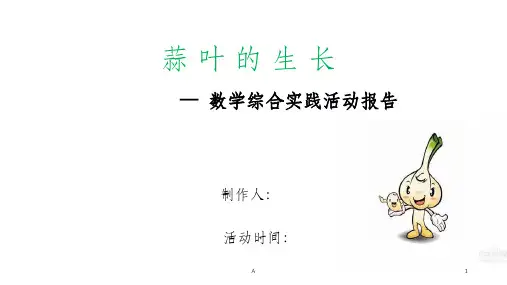 蒜叶的生长(数学实践活动)