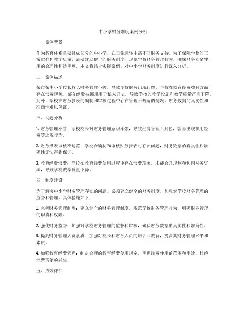 中小学财务制度案例分析
