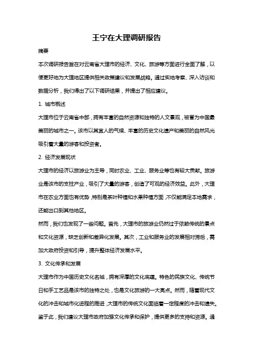 王宁在大理调研报告
