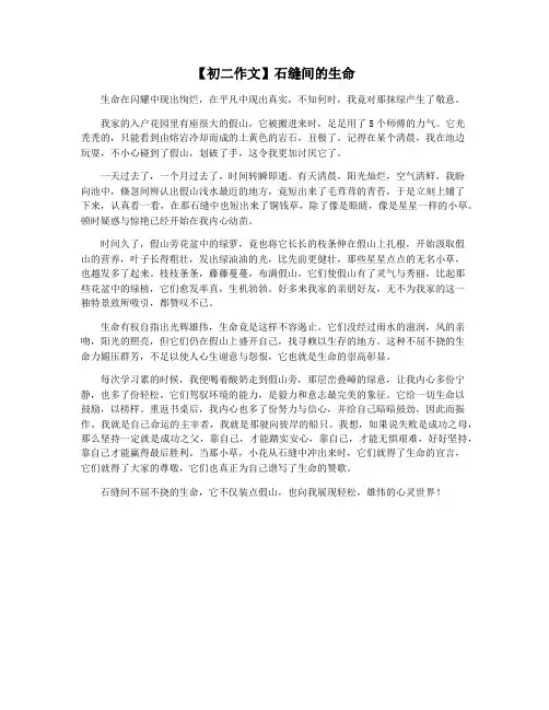 【初二作文】石缝间的生命
