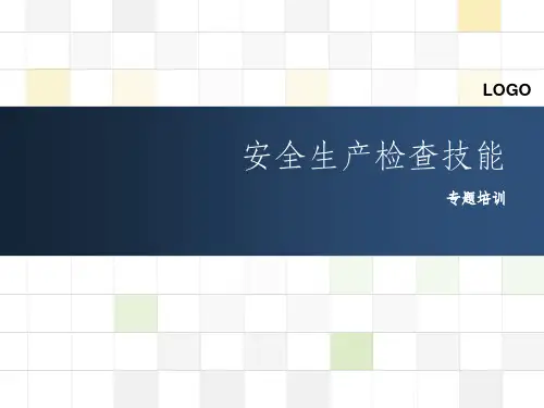 安全检查专项培训ppt课件